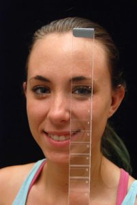 BV-15 EZ View Vertical Prismbar