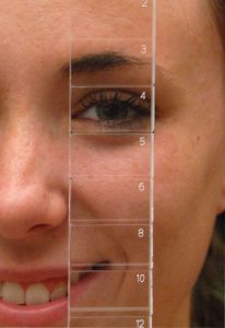 BV15 EZ View Verical Prismbar