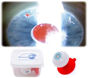 SimulEYE LPI Model (2 Pack)-0