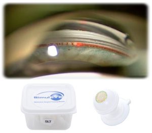 SimulEYE SLT Model (2 Pack)-0